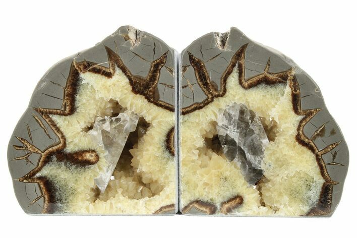 Crystal Filled Septarian Geode Bookends - Utah #231081